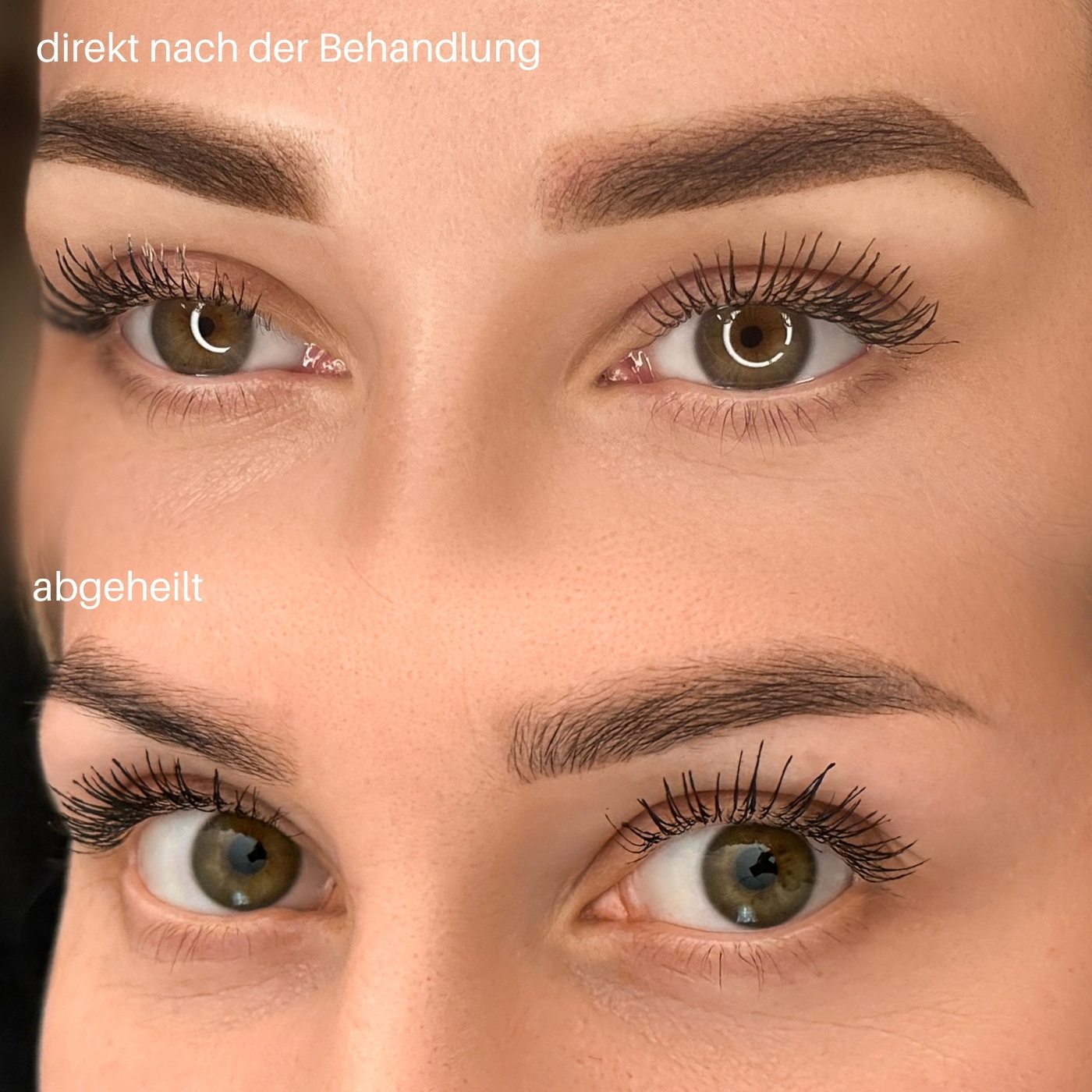 Soft Ombre Powder Brows, vorher und nachher